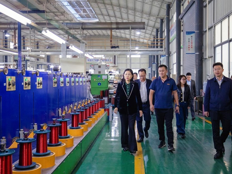 Government Leaders Visit Yiheng Electrical to Guide Work